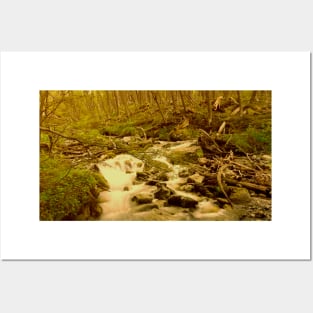 Crystal clear mountain stream Posters and Art